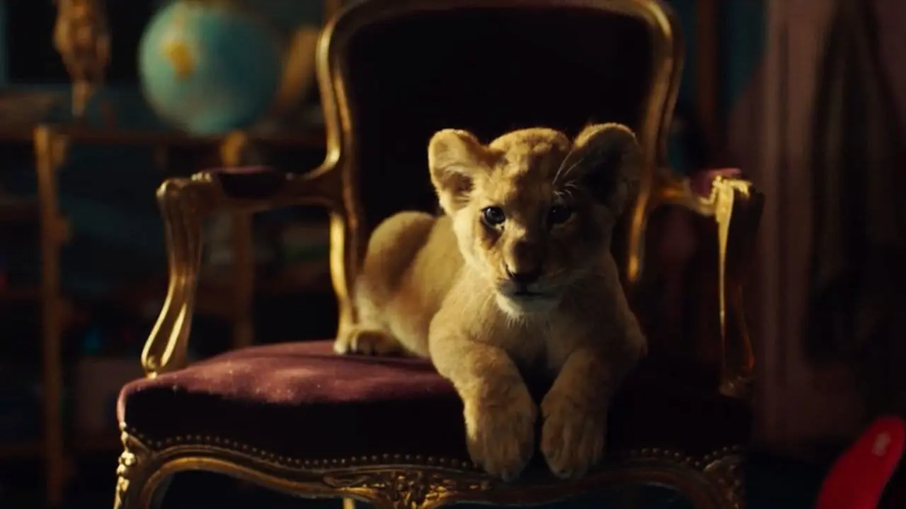 Il leone di King - Un cucciolo da salvare