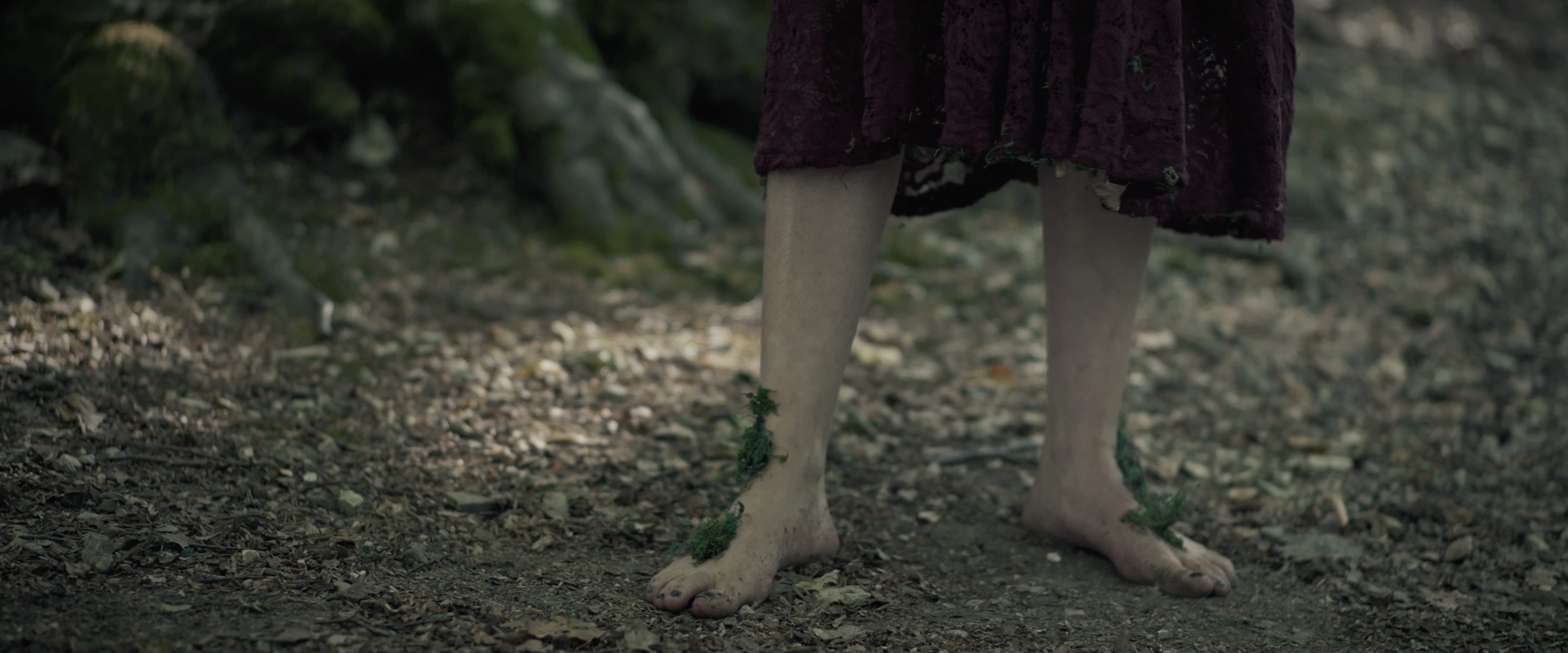 Una scena dal film La figlia del bosco