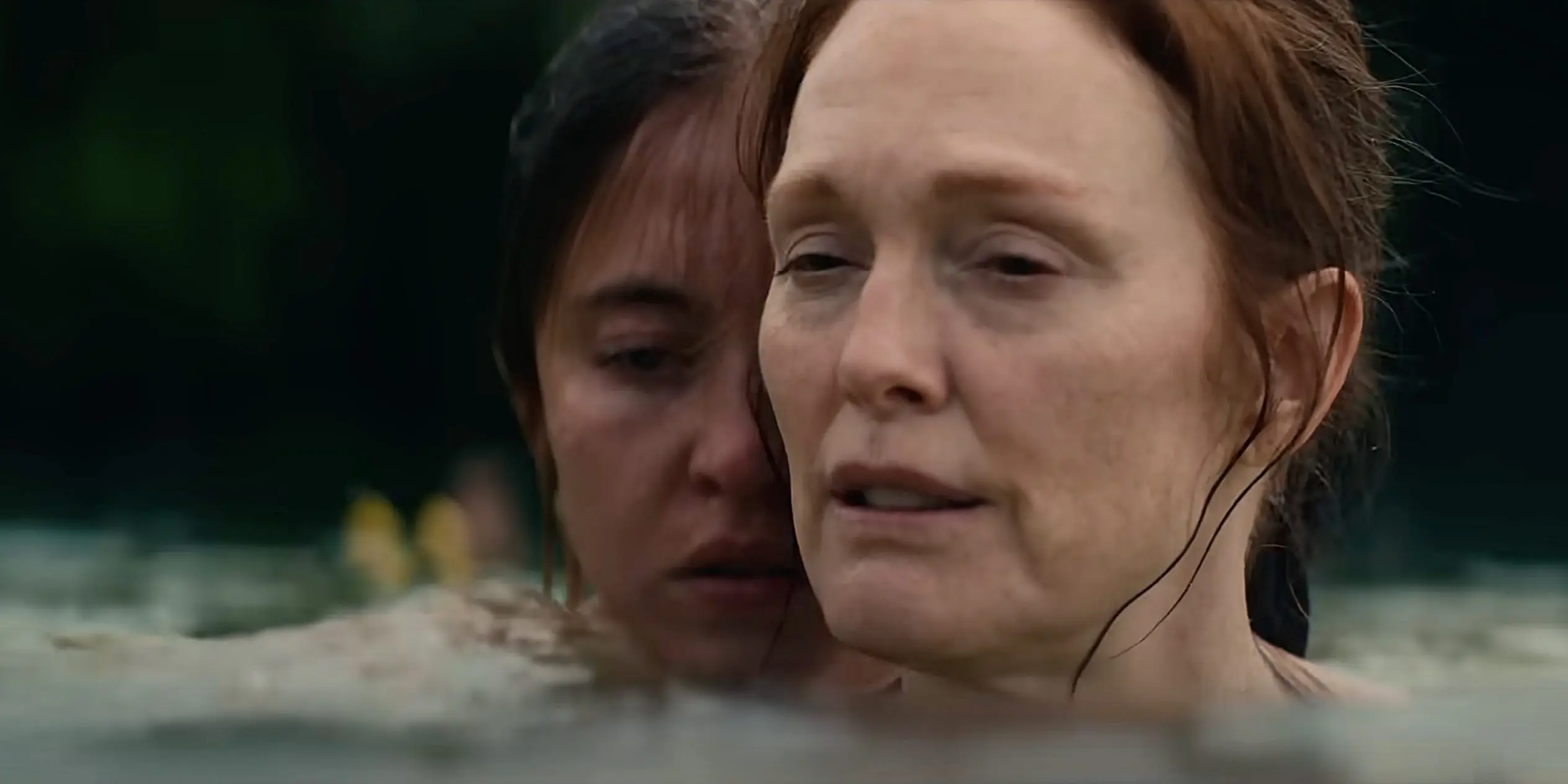 Echo Valley Julianne Moore