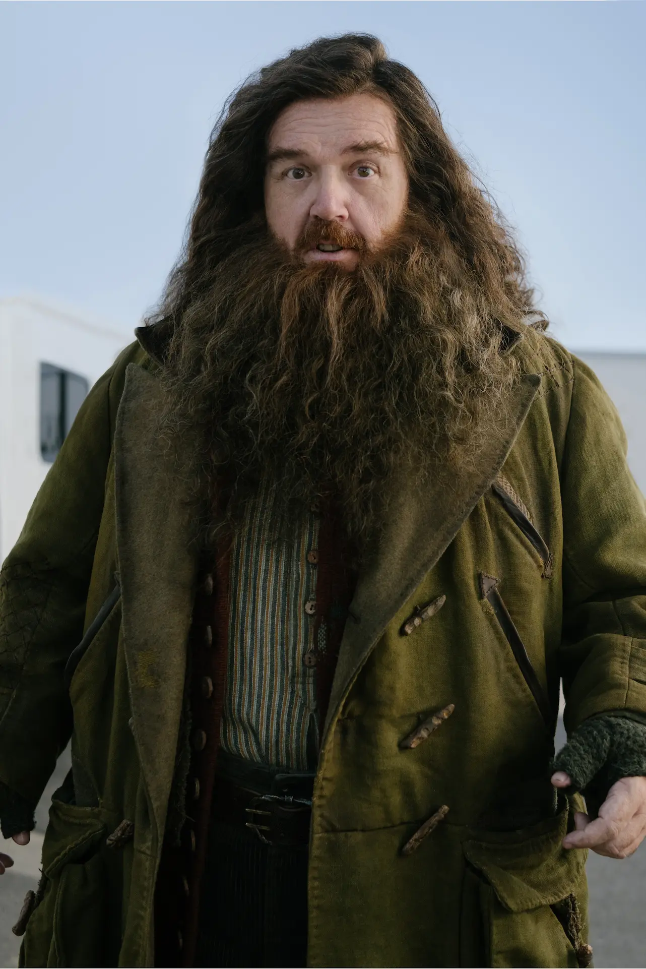 Nick Frost è Hagrid nella serie Harry Potter