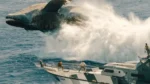 lo squalo riferimenti jurassic world