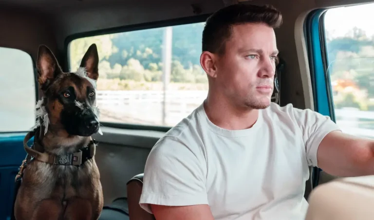 Io e Lulù (Dog), la spiegazione del finale del film di e con Channing Tatum