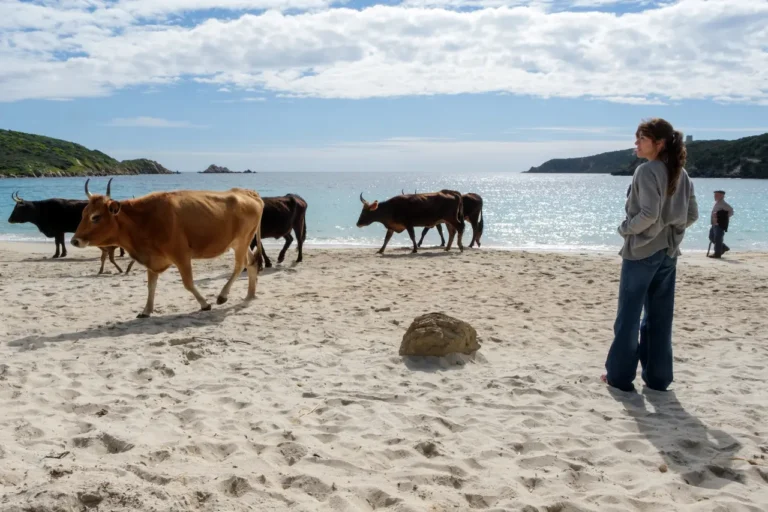 La vita va così: recensione del film di Riccardo Milani – #RoFF20