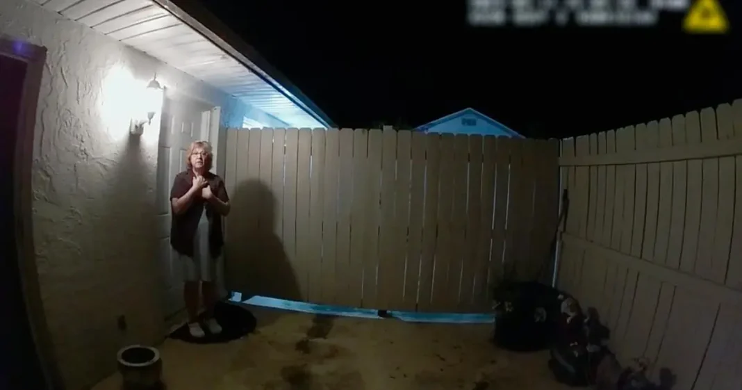 The Perfect Neighbor