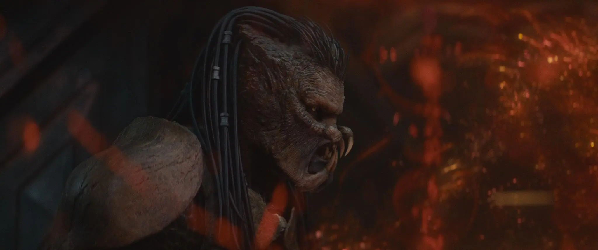 Dimitrius Schuster-Koloamatangi in Predator: Badlands (2025)