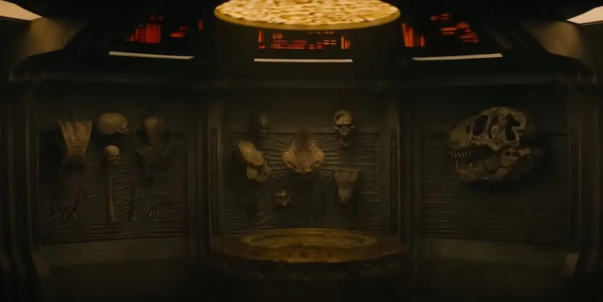 Teschi nella sala dei trofei