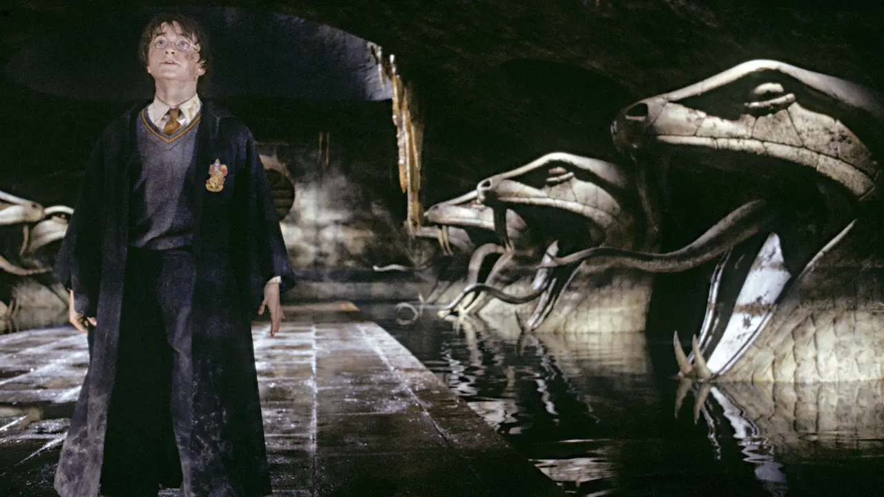 Harry Potter e la camera dei segreti film