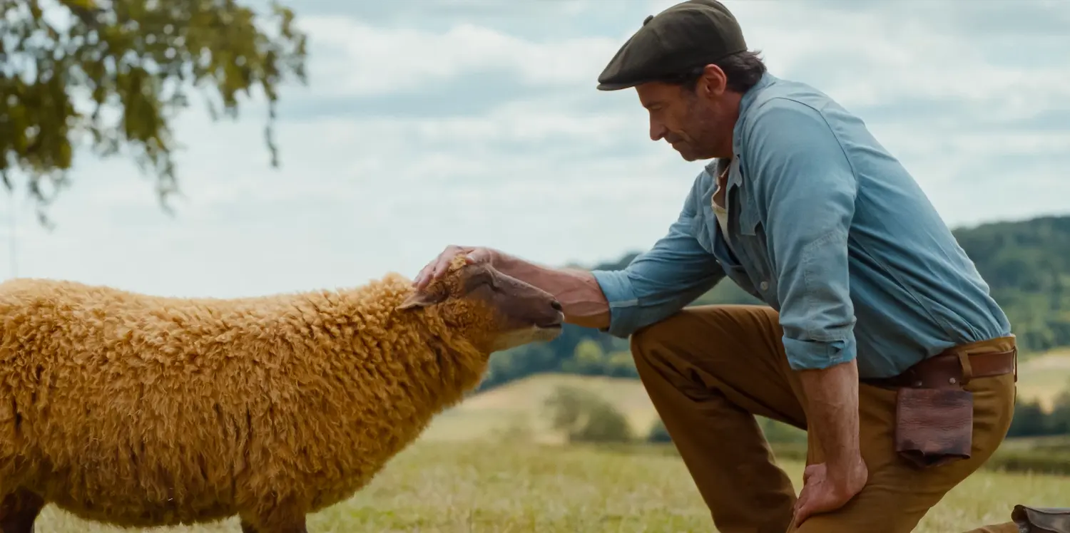 Pecore Sotto Copertura con Hugh Jackman