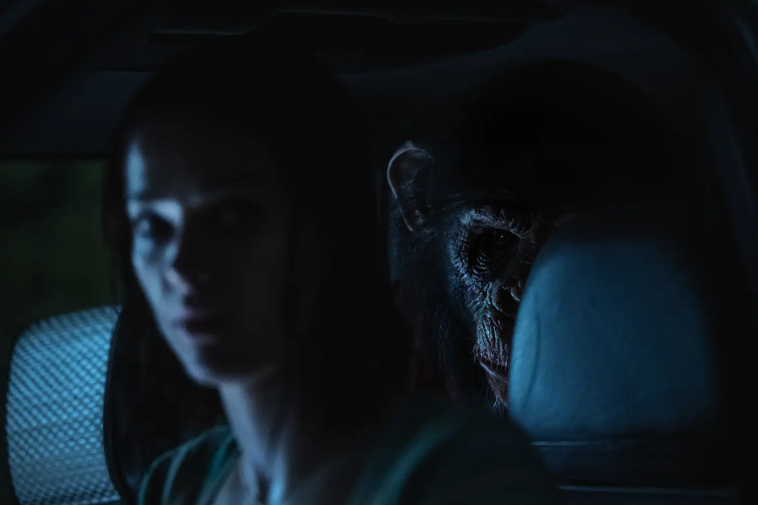 Ben - Rabbia animale (2026)