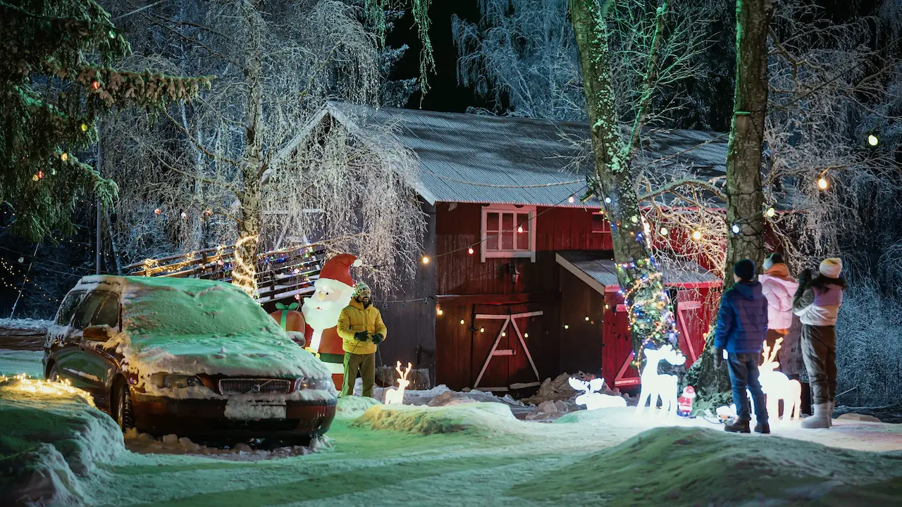 Non fate infuriare l'elfo film