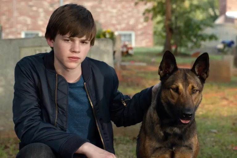 Max: la storia vera dietro al film in Top 10 su Netflix Max: la storia vera dietro al film in Top 10 su Netflix