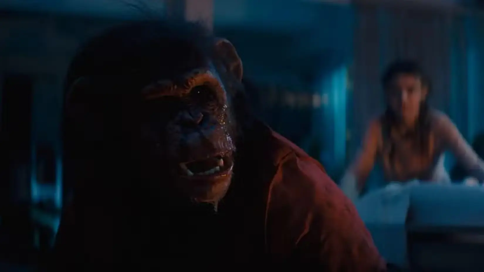 Ben - Rabbia Animale