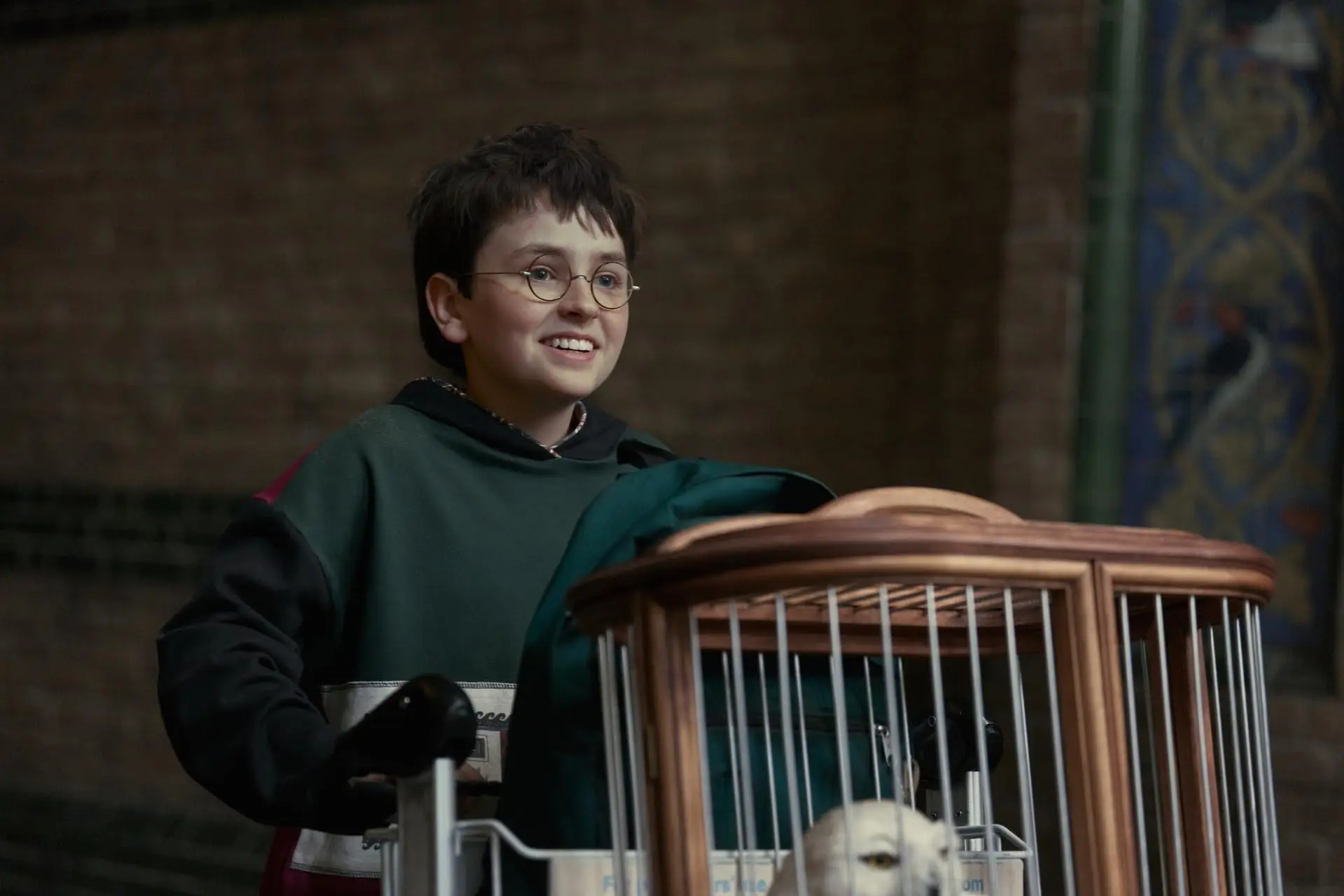 Dominic McLaughlin in Harry Potter (2026)
