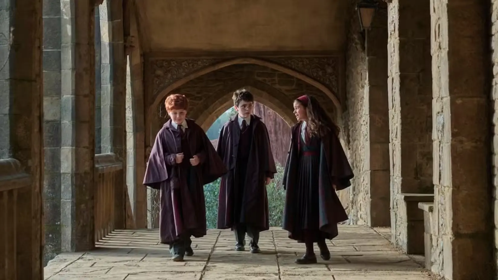 Harry Potter la serie
