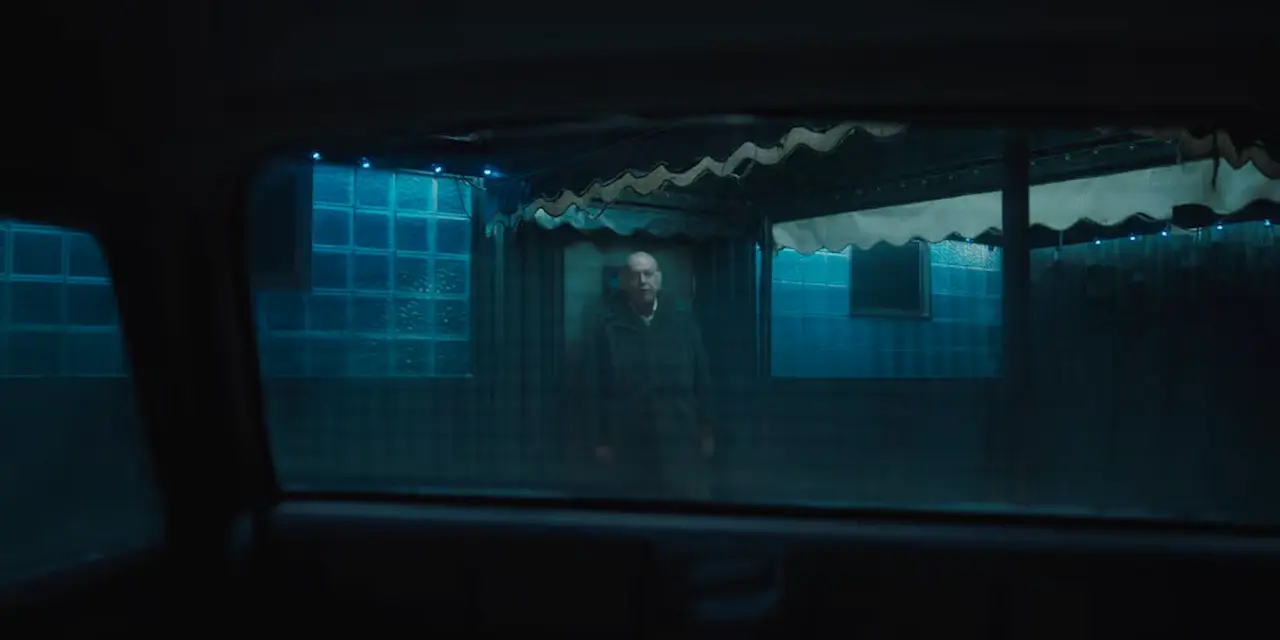 Zlatko Burić Plays The Witness