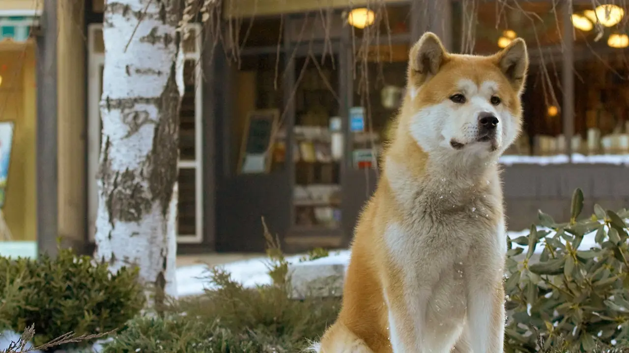 Hachiko film 2009