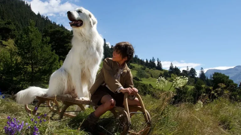 Belle & S&eacute;bastien &ndash; L&rsquo;avventura continua: la spiegazione del finale del film