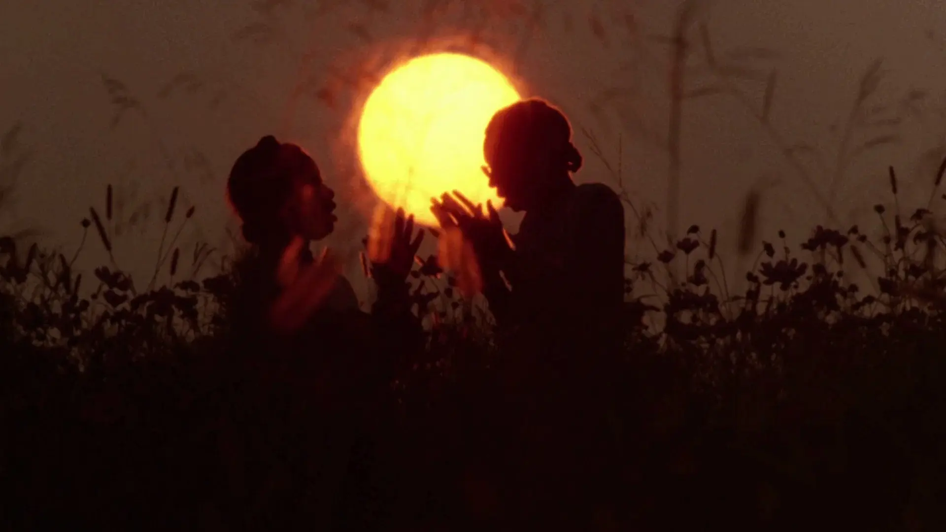Il colore viola film Steven Spielberg