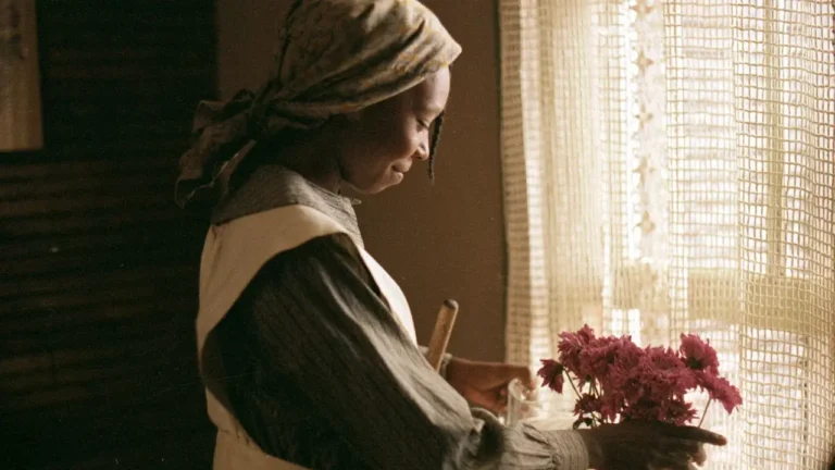 Il colore viola: la spiegazione del finale del film