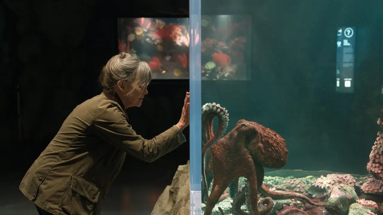 Sally Field in Creature luminose