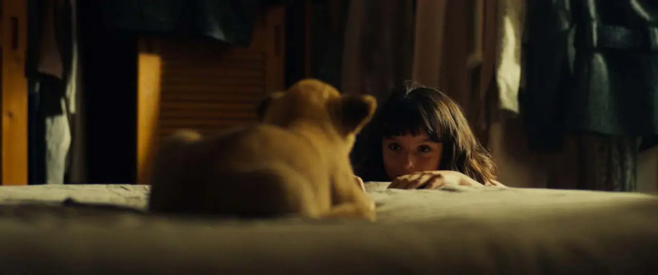 King - Un cucciolo da salvare cast