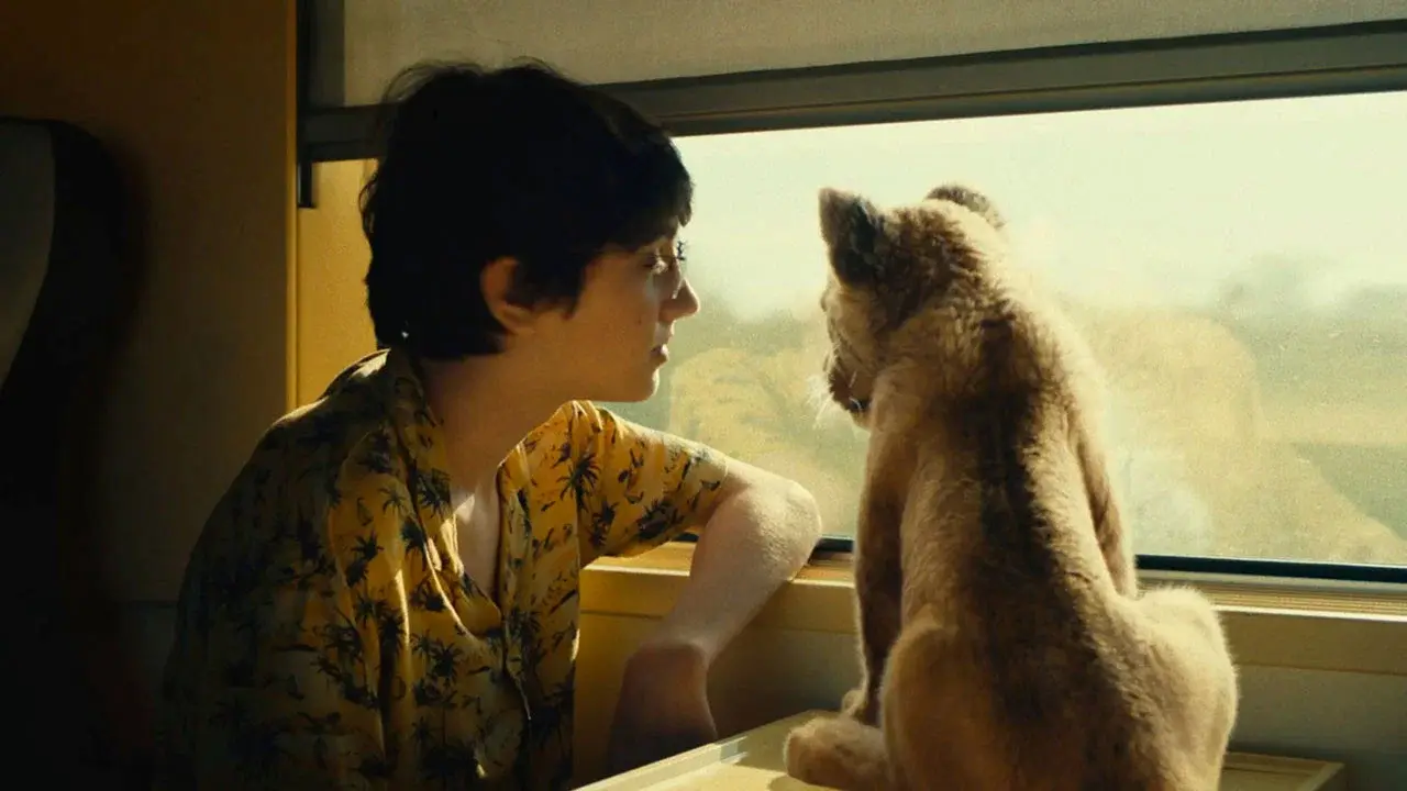 King - Un cucciolo da salvare film