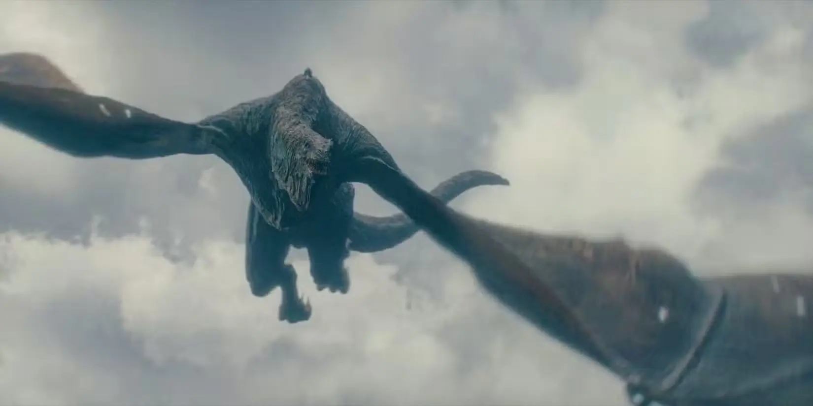 I Draghi di House of the Dragon - Vhagar